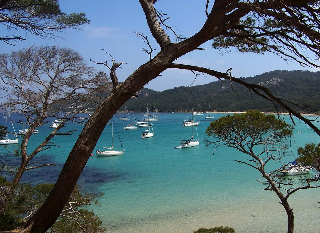 Le Cube Hotel Design A Hyeres Plage Avec Piscine Et Cuisine Екстер'єр фото